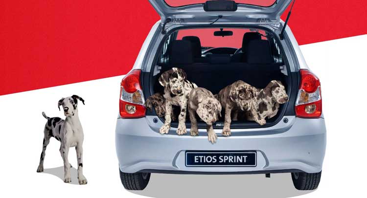 Toyota Etios Cargo-Space