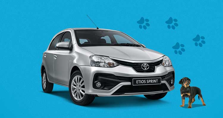 Toyota Etios Sprint - Puppy